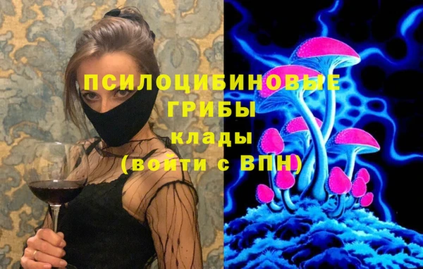 амф Дмитров