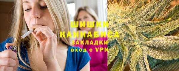 амф Дмитров