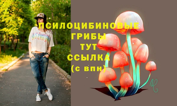 метадон Гусиноозёрск